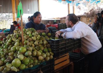 Se apoyará proyectos productivos del campo y a mujeres emprendedoras: Taboada