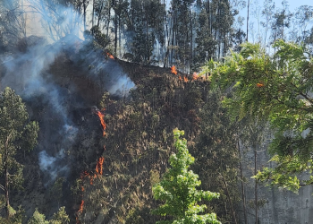 Incendios azotan al poniente de la CDMX
