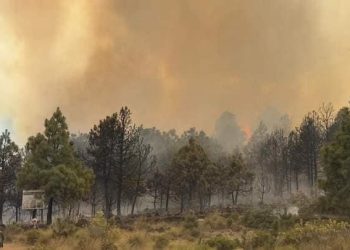 Al menos siete incendios se mantienen activos en el Edomex