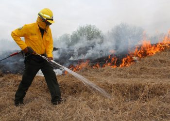 Incendio en la Sierra madre de Tamaulipas afecta 180 hectáreas de superficie