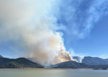 Incendios forestales en el Estado de México han afectado más de 4 mil hectáreas