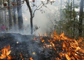 Reportan 120 incendios activos en México