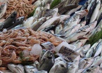 Economía ha afectado tradición de consumir pescados y mariscos
