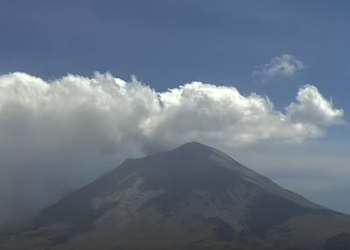 Van 54 casos de rinitis alérgica por ceniza