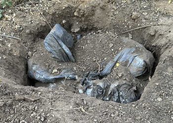 Localizan bolsas con restos humanos en fosa clandestina en El Salto, Jalisco