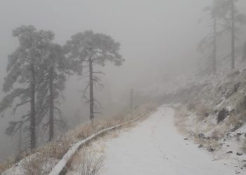 Sonora registra nevadas por octava tormenta invernal