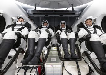 Los cuatro tripulantes de la misión Crew-7 de la NASA regresan con éxito del espacio