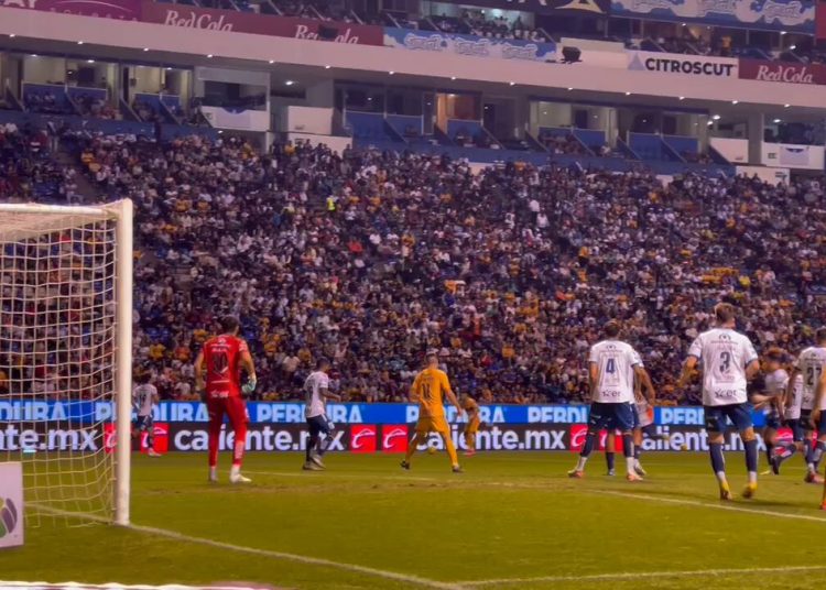 Foto: Twitter @Tigresoficial