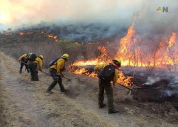 Reportan cuatro incendios activos en Veracruz