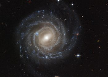 Aficionados a la ciencia descubren más de mil asteroides no catalogados