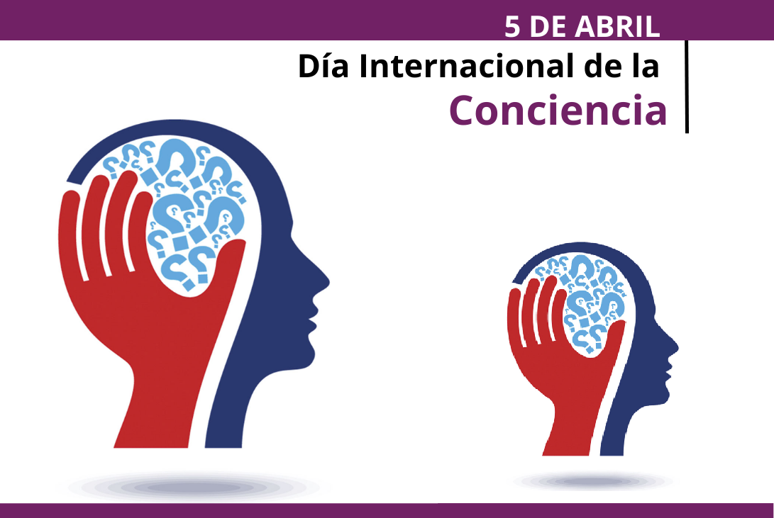 Día Internacional de la Conciencia - Enfoque Noticias