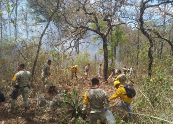 Veracruz reporta tres incendios forestales activos