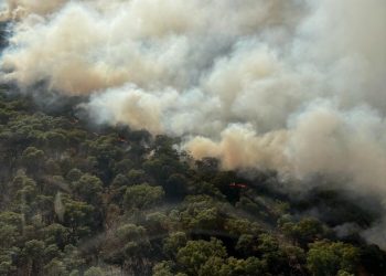 Bomberos combaten incendio en Área Natural Protegida del Bosque La Primera en Jalisco