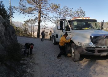 Incendio forestal en Tamaulipas arrasa con 425 hectáreas de pino