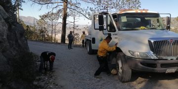 Incendio forestal en Tamaulipas arrasa con 425 hectáreas de pino