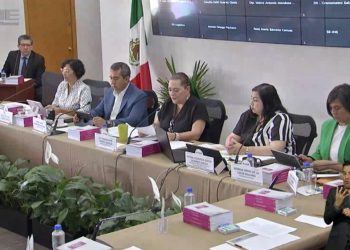 “INE reporta 74% de actividades completas rumbo a las elecciones”: Guadalupe Taddei