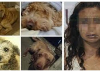 Detienen a “mataperros” en Puebla