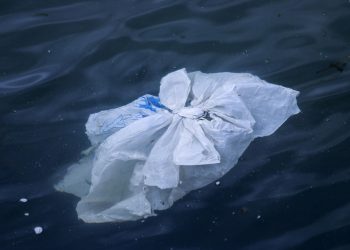 Hasta 11 millones de toneladas métricas de plástico cubren el fondo marino: estudio