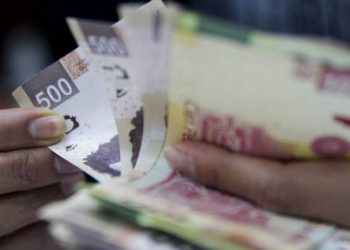 “Pre-criterios no muestran un incremento importante en los ingresos, en consecuencias se tendrá que cortar gasto”: Experta
