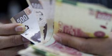 “Pre-criterios no muestran un incremento importante en los ingresos, en consecuencias se tendrá que cortar gasto”: Experta