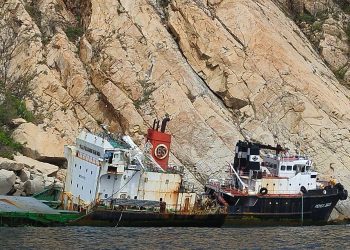 Autoridades hallan siete restos, dos de humanos y los demás de animales en la búsqueda de personas desparecidas por Otis