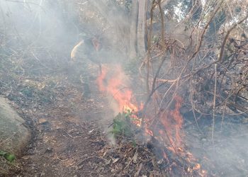 Se reportan 35 incendios en Guerrero, los más difíciles de sofocar están en Acapulco informa PC