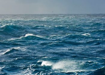 Greenpeace pide declarar zonas protegidas en el 30% de los mares