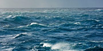 Greenpeace pide declarar zonas protegidas en el 30% de los mares