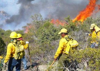 “Altas temperaturas, escasez de agua y cambio climático incrementan condiciones para generar incendios”: Probosque