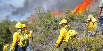 “Altas temperaturas, escasez de agua y cambio climático incrementan condiciones para generar incendios”: Probosque