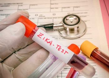 Una vacuna contra el zika desarrollada en Brasil se muestra eficaz en pruebas con ratones