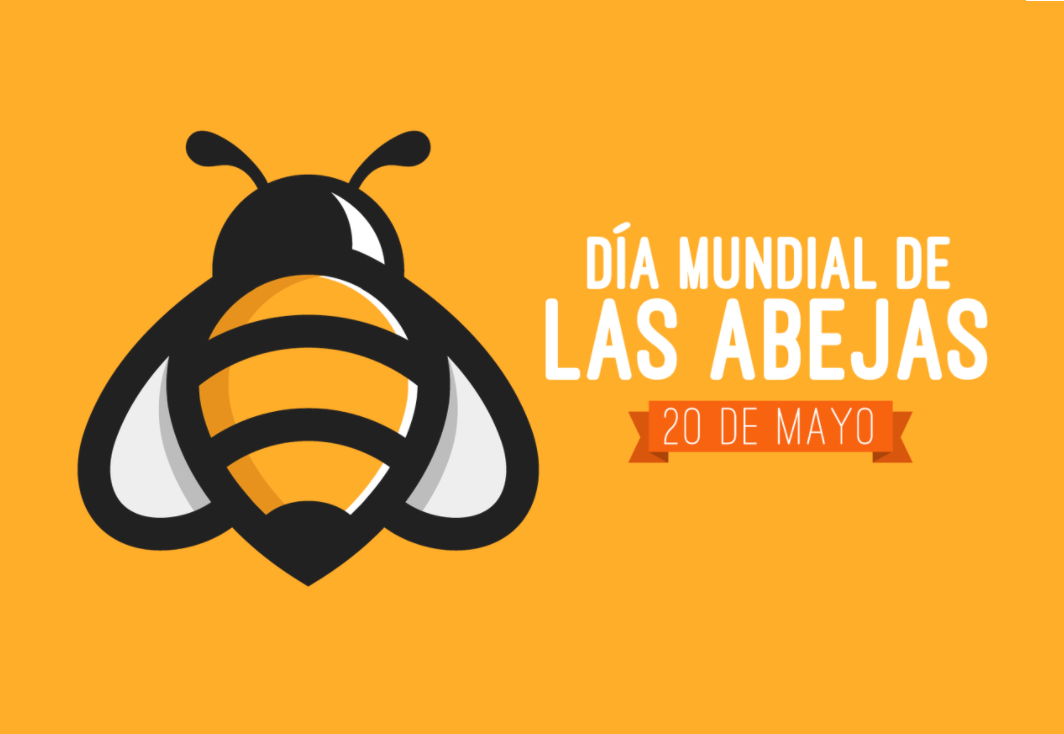 Día Mundial De Las Abejas Enfoque Noticias