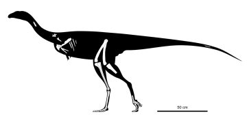 Hallan los restos de una nueva especie de dinosaurio
