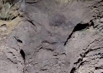 Localizan tres cuerpos enterrados en fosa clandestina de Irapuato
