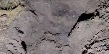 Localizan tres cuerpos enterrados en fosa clandestina de Irapuato