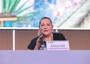 Garantiza INE condiciones para elecciones limpias el 2 de junio: Taddei