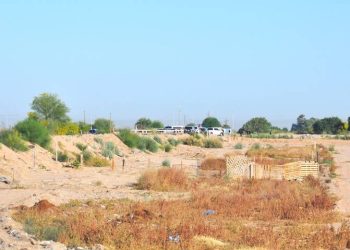 Localizan cuerpos sin vida de dos jóvenes mujeres en frontera de Sonora