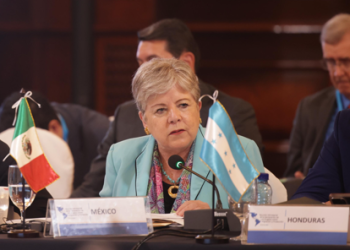 Asegura México seguirá abordando causas que provocan la migración