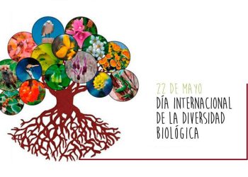 Día Internacional de la Diversidad Biológica
