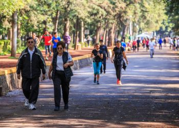 Tlalpan realizará una “Caminata Ecológica” para que la ciudadanía conecte con la naturaleza