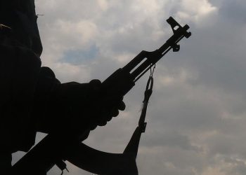 “En el actual gobierno se abandonó la lucha contra el crimen”: Ravelo  