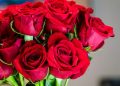 ¿Cuál es la derrama económica que se prevé por flores el Día de la Madre? 