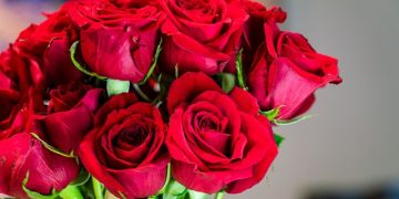 ¿Cuál es la derrama económica que se prevé por flores el Día de la Madre? 
