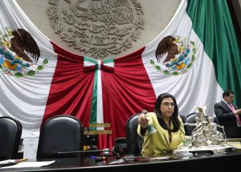 Fomentar inversión pública y privada en el sector eléctrico, recomienda Marcela Guerra