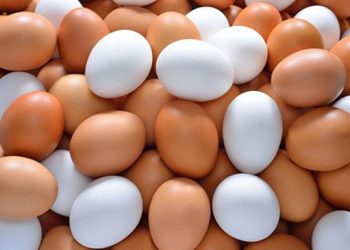 Por esta razón no debes meter los huevos al refrigerador