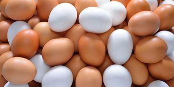 Por esta razón no debes meter los huevos al refrigerador