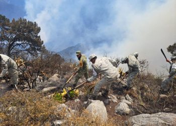 Incendio en la Sierra Madre en Tamaulipas devasta 800 hectáreas
