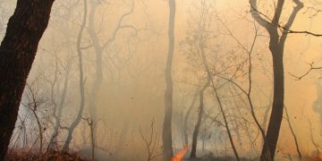 Sofocan incendio de Tilzapotla