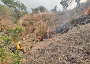 Suspenden clases en Acapulco y Chilpancingo por incendios