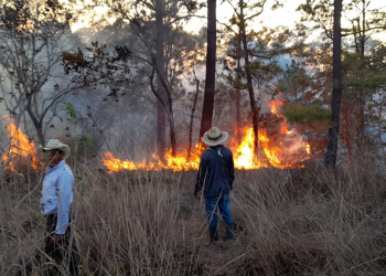 “Estamos en el pico de la temporada de incendios”: Experto